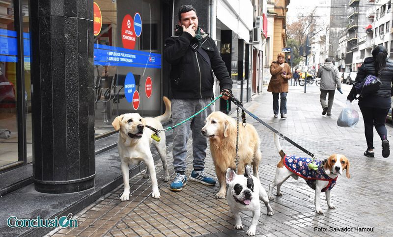 Se celebra en todo el mundo el Día del Perro