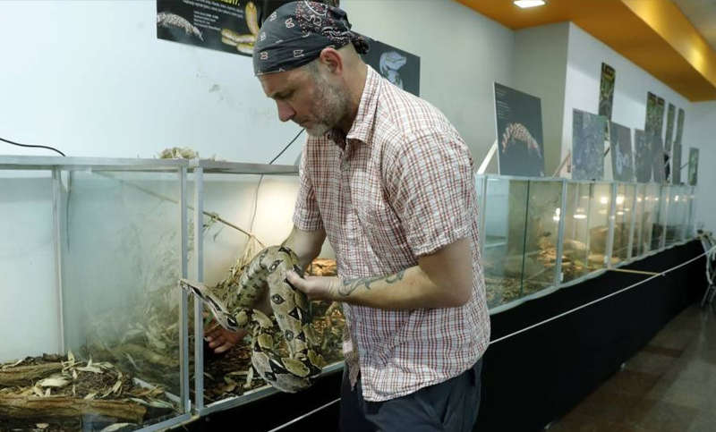 Un hombre vive con 120 víboras en su casa en Croacia