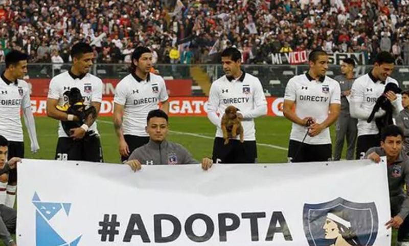 Un equipo salió a la cancha con perros para promover la adopción