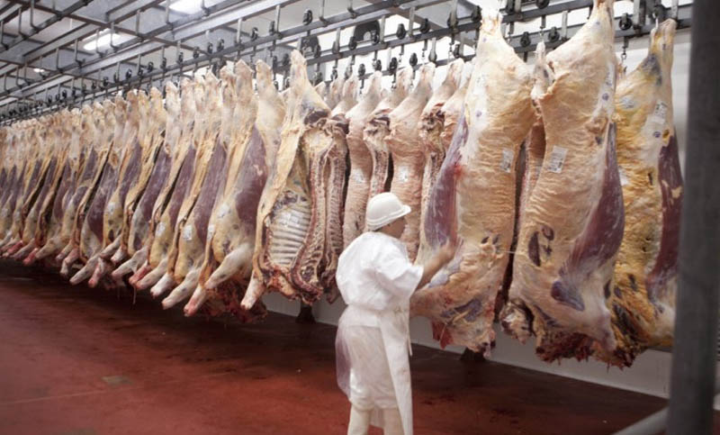 Las exportaciones de carne bovinas en junio crecieron 7%