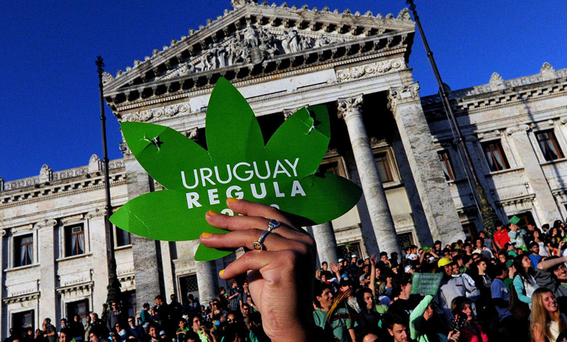 Gobierno uruguayo usará fondos de narcos para atender a drogadictos