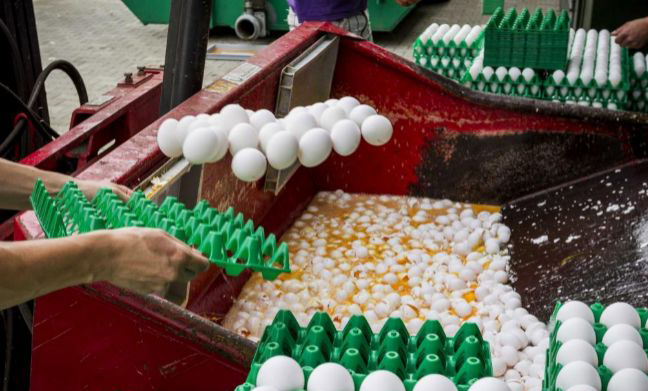 España se suma a los países con huevos contaminados y crece la preocupación