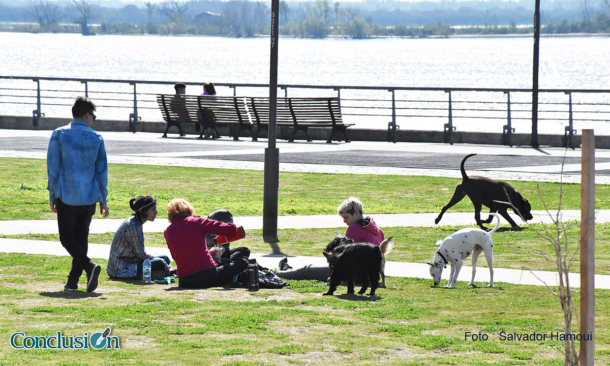 Una postal de una tarde en los parques de la ciudad