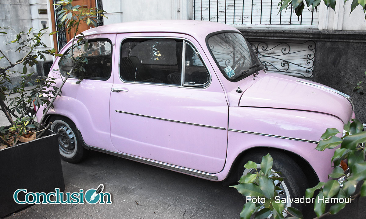 Fiat 600, reliquia de los años 60 reposando en un jardín del bulevar…