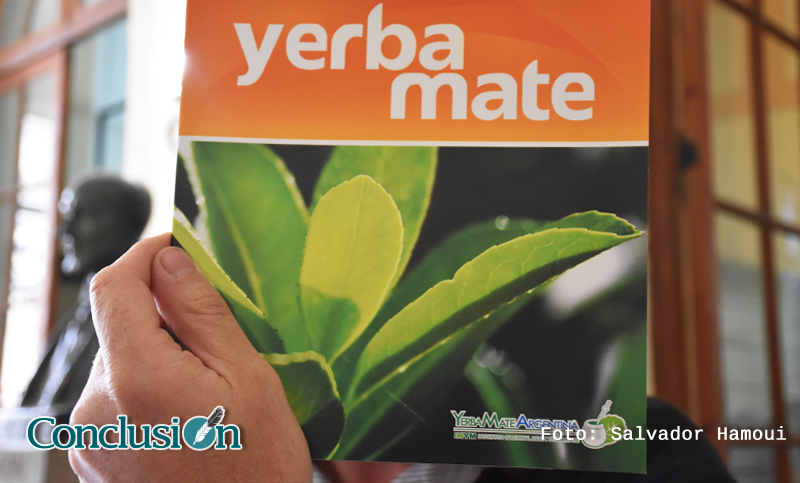 Golpe al bolsillo: se establecieron nuevos precios para la producción de yerba mate