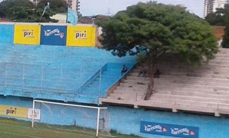Un club de Paraguay convirtió en socio a un árbol