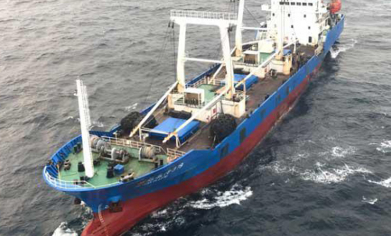 Un barco chino llevaba 300 toneladas de especies protegidas