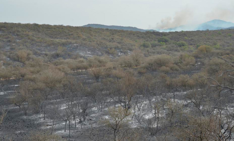 Los incendios en las sierras de Córdoba arrasaron más de 8.000 hectáreas