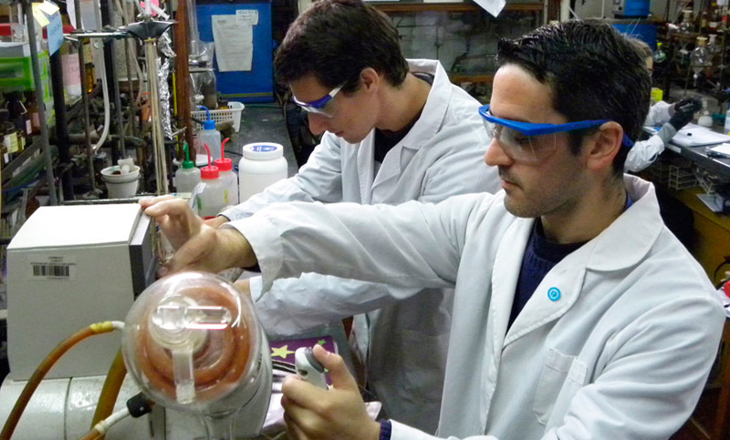 Rosarinos estudian un compuesto de la soja que actúa contra la Salmonella
