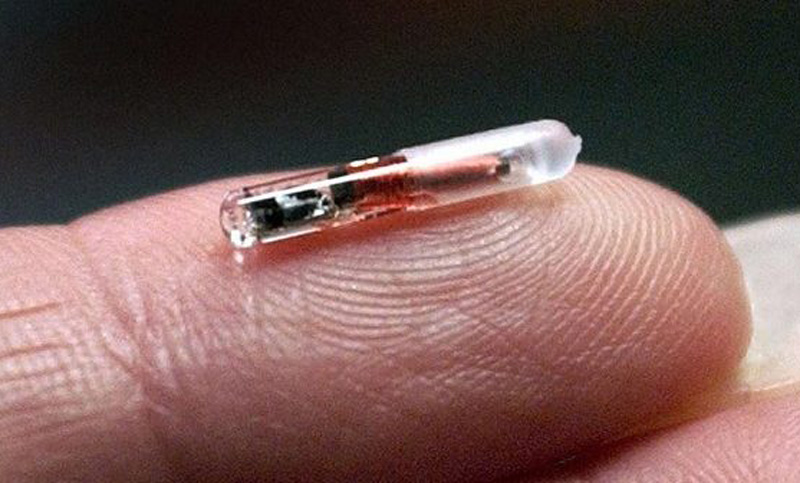 Una empresa de EE.UU. implanta microchips en el cuerpo de sus empleados