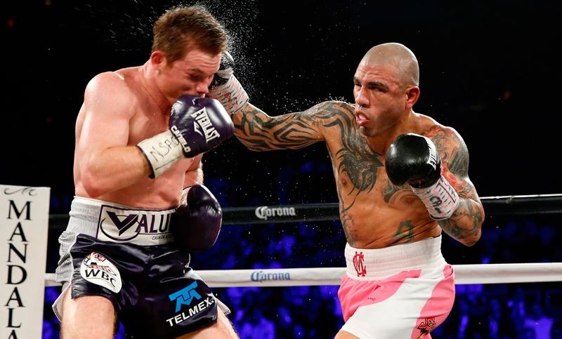 Boxeo: reaparece Miguel Cotto por el título mundial