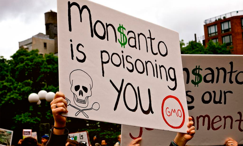 Las creaciones más terribles de Monsanto en el mercado