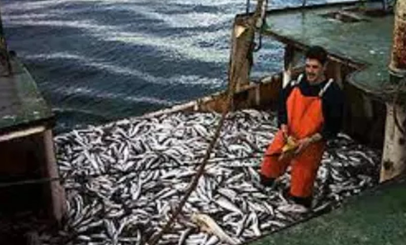 Un regalo para Vidal que pone en peligro la pesca en Santa Cruz