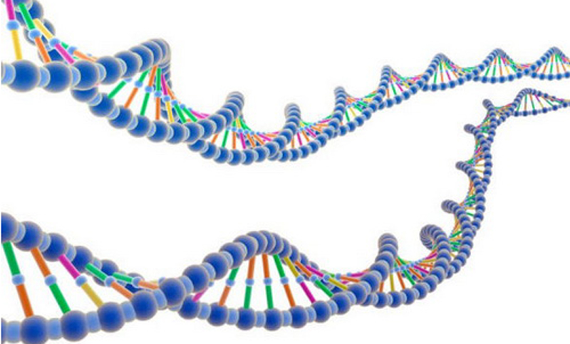 Se descubrieron nuevas y extrañas capas de información en el ADN