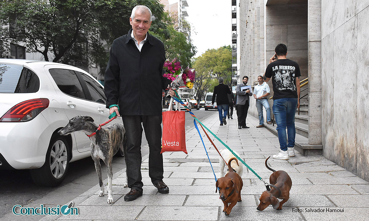 Romántico paseador de perros