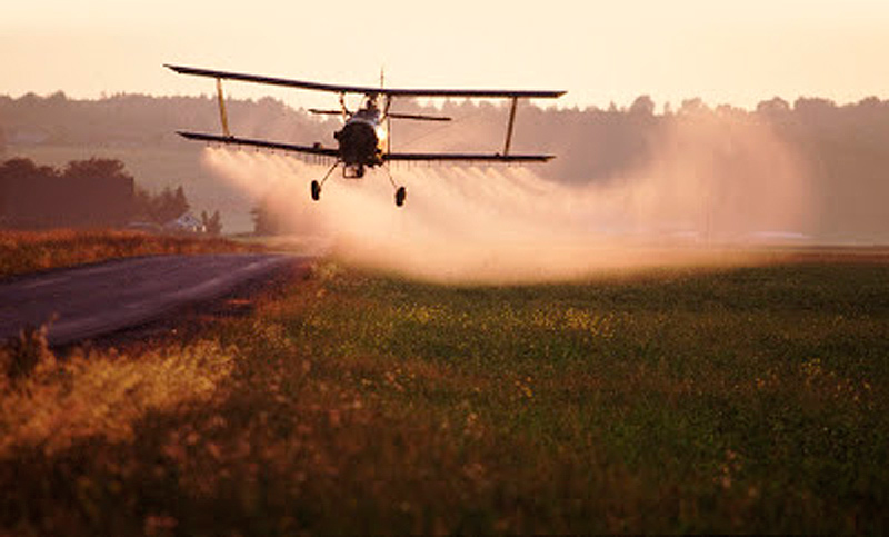 Muerte y malformación animal por fumigación de agrotóxicos