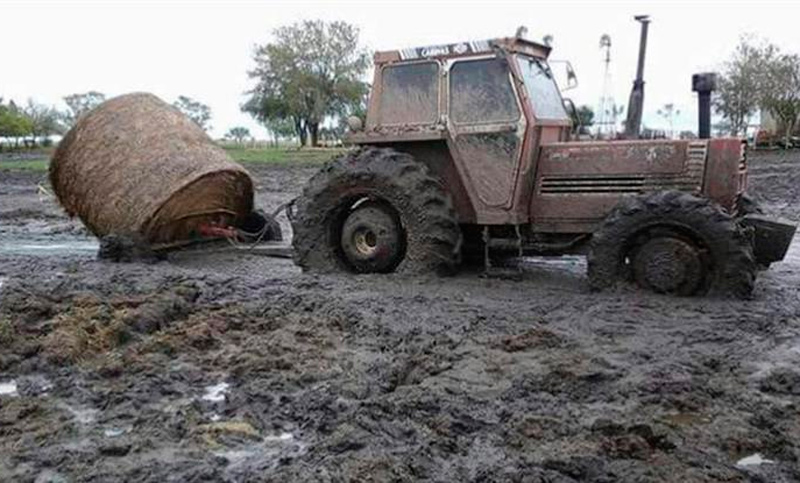 Se estiman pérdidas de 1.500 millones de dólares por los campos inundados