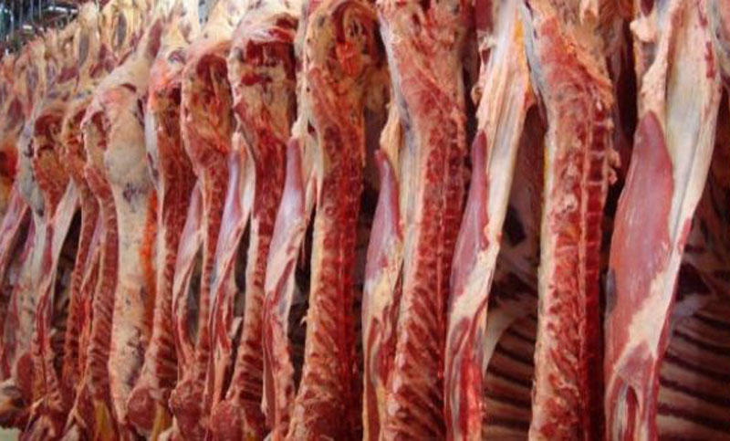 Exportaciones de carne bovina cayeron 20% en agosto