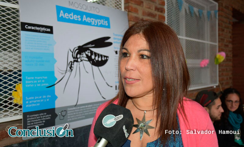 «En este momento no hay circulación de dengue, zika o chikungunya en la ciudad»