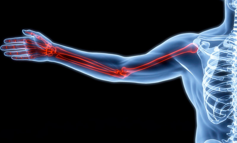 Científicos rosarinos crean un gel para regenerar tejido óseo