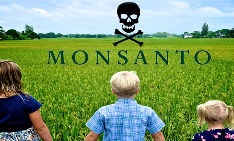 Donna Farmer: “No podemos confirmar que Roundup no sea cancerígeno”