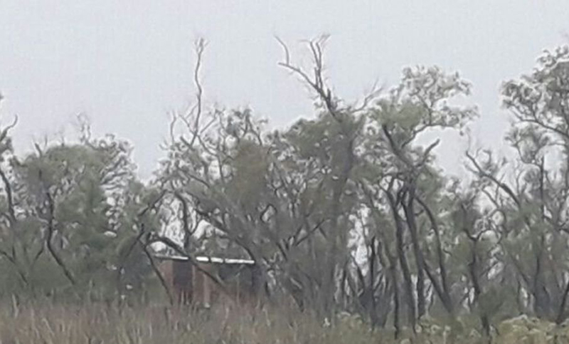 Asesinó, descuartizó y quemó al amigo con el que había ido a pescar