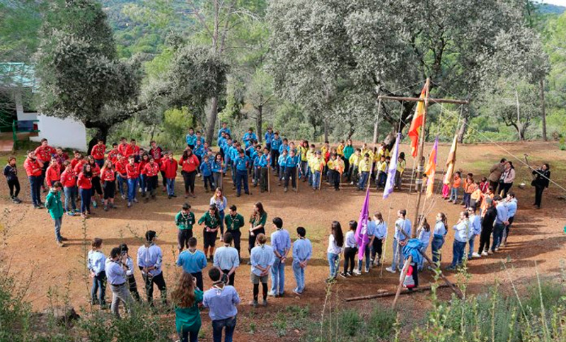 Un niño de 11 años falleció al caerle un árbol durante un campamento scout