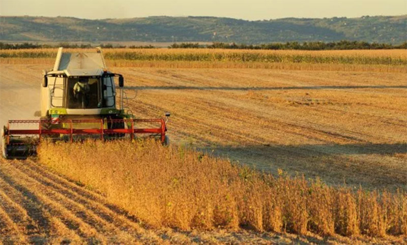 El campo rechazó el aumento en el inmobiliario rural de la provincia de Buenos Aires