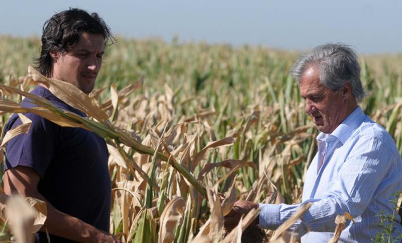 El Indec presentó el proyecto del Censo Nacional agropecuario: se hará en 2018