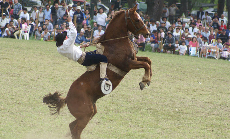 Repudian la realización de la Fiesta del Caballo