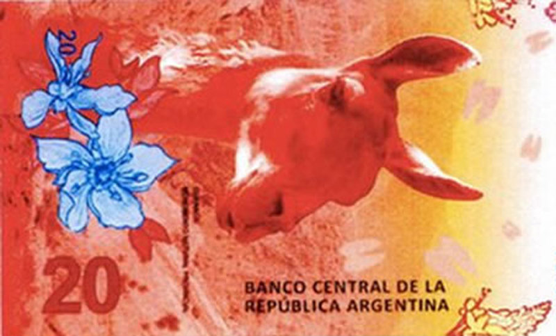 El nuevo billete de 20 pesos tendrá la imagen de un guanaco