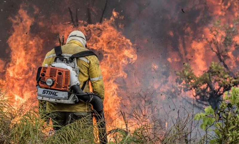 Un incendio consumió más de 50 mil hectáreas de un Parque Nacional en Brasil