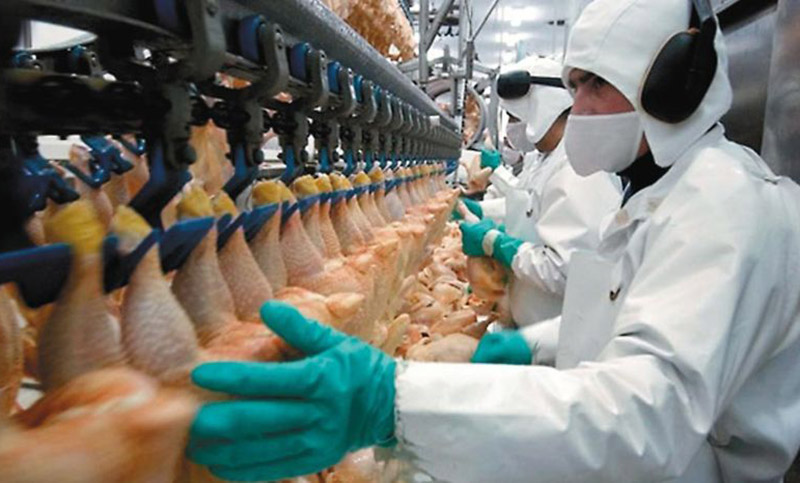 Productores avícolas denuncian una «situación crítica» por caída de la rentabilidad