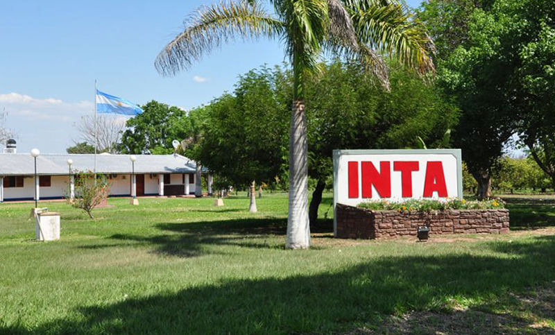 Preocupación por posibles despidos de 750 trabajadores del Inta