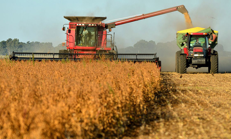 El gobierno eliminó la obligación de liquidar divisas por exportaciones