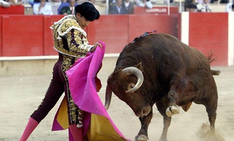 El Gobierno español intenta anular una ley contra la matanza de toros