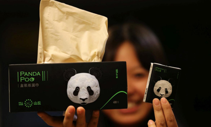 Empresa china transforma con heces de panda en pañuelos de papel