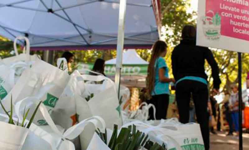 Se realiza el último canje saludable del año en la plaza del Foro