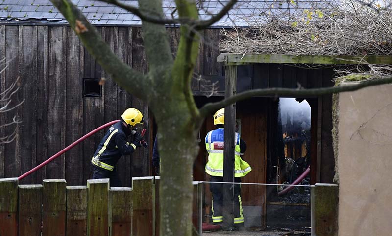Incendio en el zoológico de Londres: un animal muerto y cuatro desaparecidos