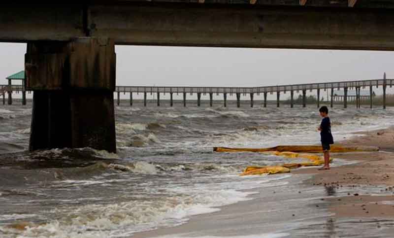 Científicos alertan sobre la rápida degradación de los mares en los últimos 20 años