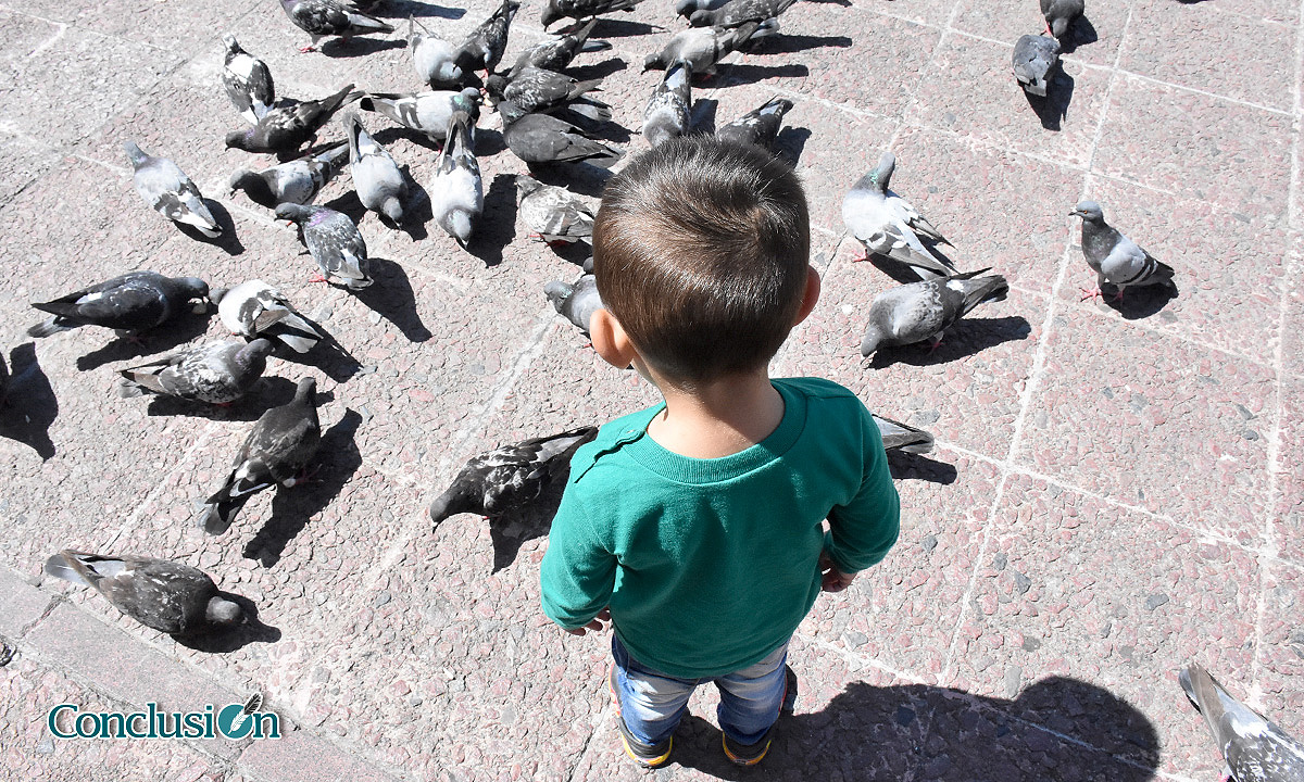 Después de tanta violencia llega quien alimenta la paz
