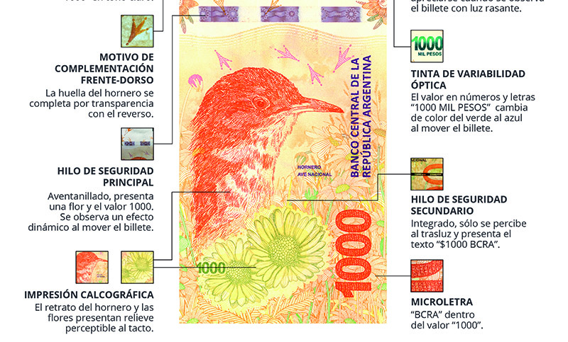 Comienza a circular el billete de 1.000 pesos y tendrá la imagen de un hornero