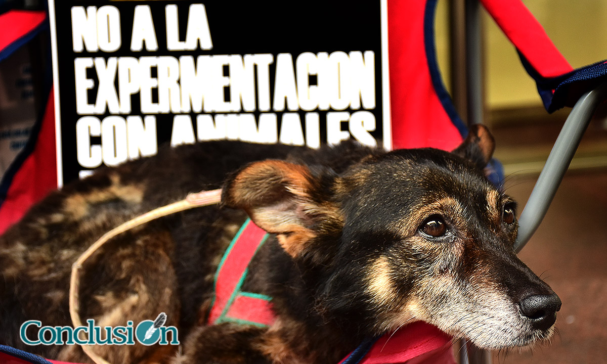 Tengo sentimientos…