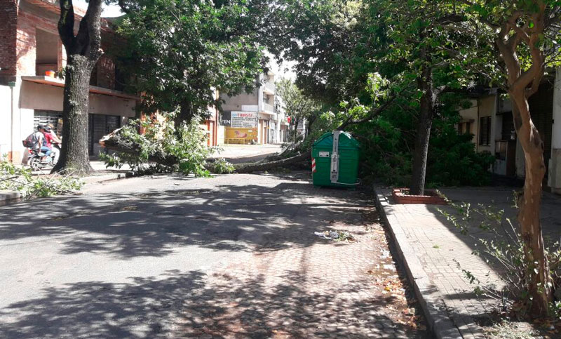 Calles anegadas y cortes de luz por el fuerte temporal en Rosario