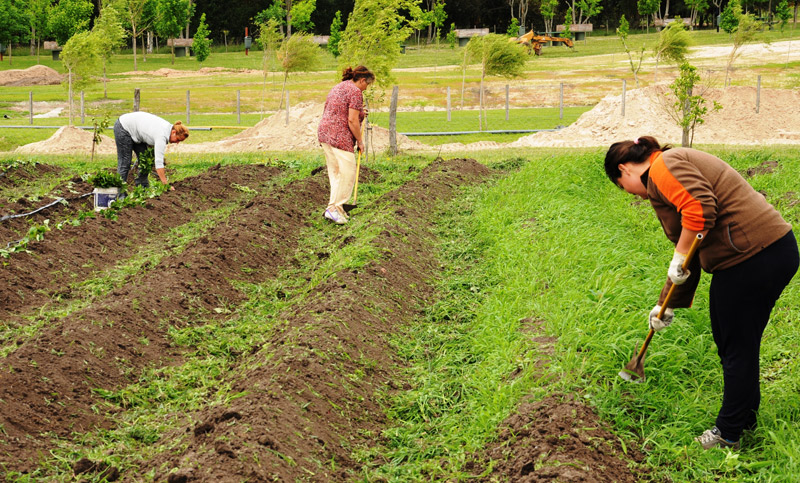 La Provincia busca duplicar la producción agroecológica