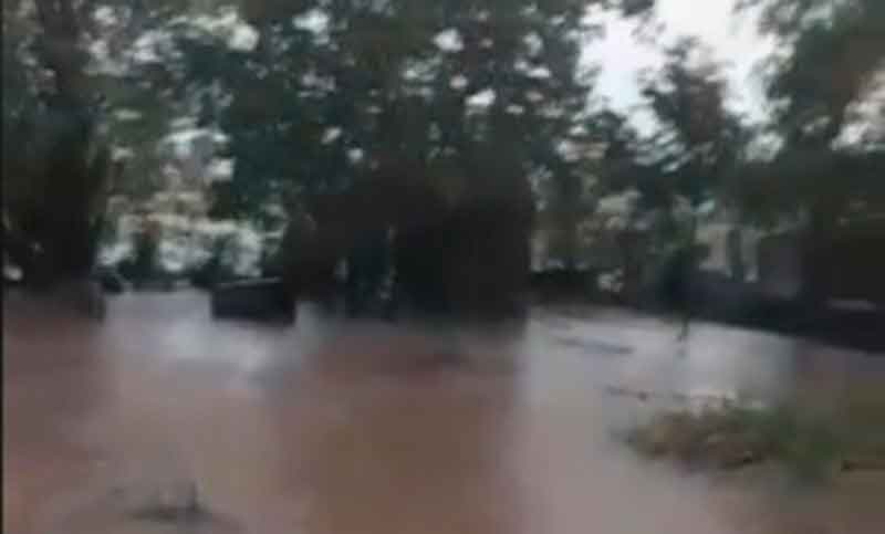 Una protectora quedó bajo agua y pide ayuda para los animales