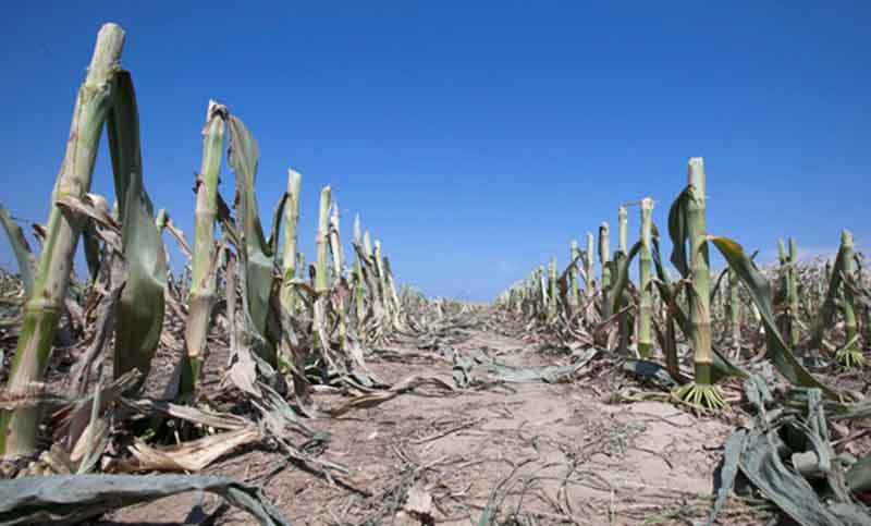 Enero cierra con pocas lluvias y hay alerta por menos agua para febrero