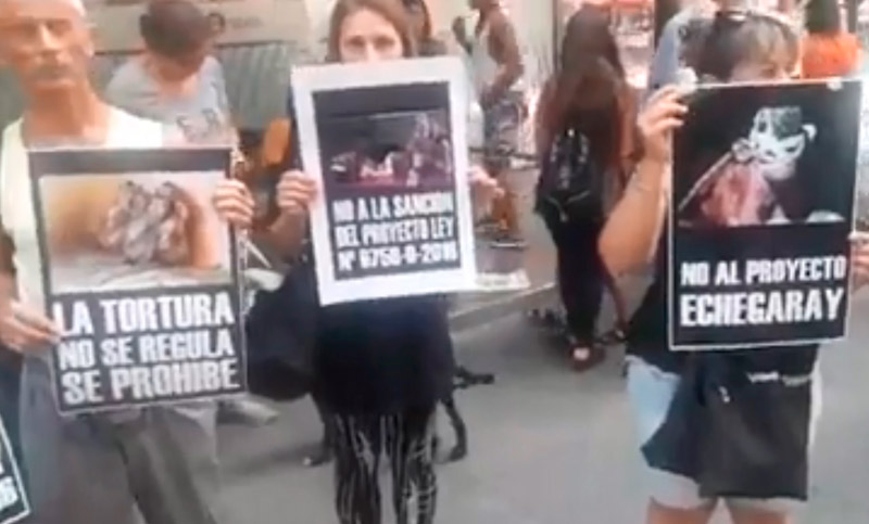 Rosarinos protestaron en la peatonal contra la experimentación en animales