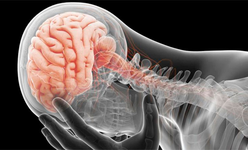 Descubren una «molécula clave» que puede proteger al cerebro de la depresión