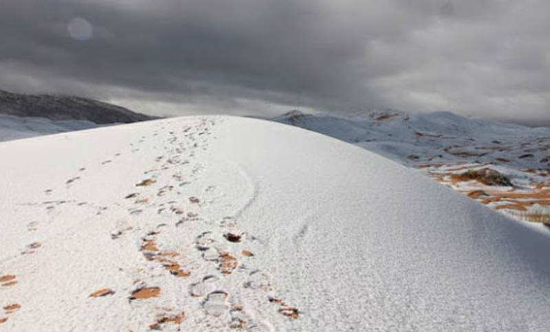 Rabinos: Las «nevadas en el Desierto del Sahara son una Señal Mesiánica»